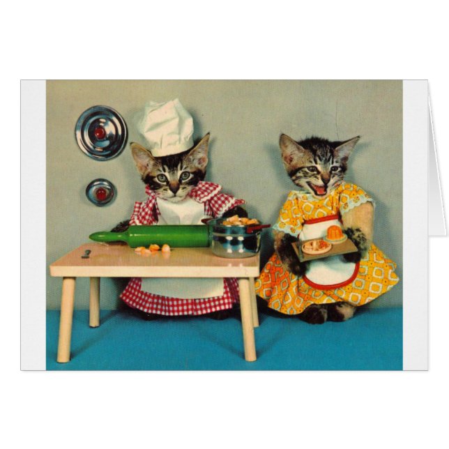 tabby kitten chef and tabby kitten assistant (Front Horizontal)