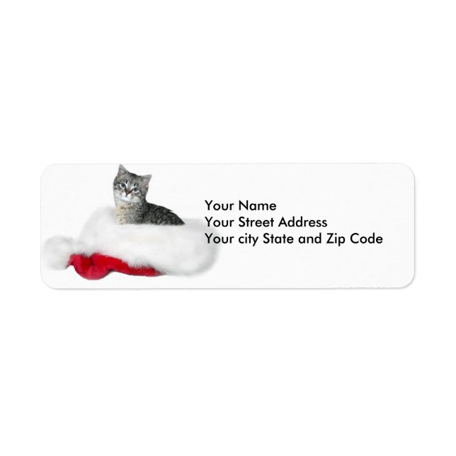 Tabby kitten Christmas Return Address Label (Front)
