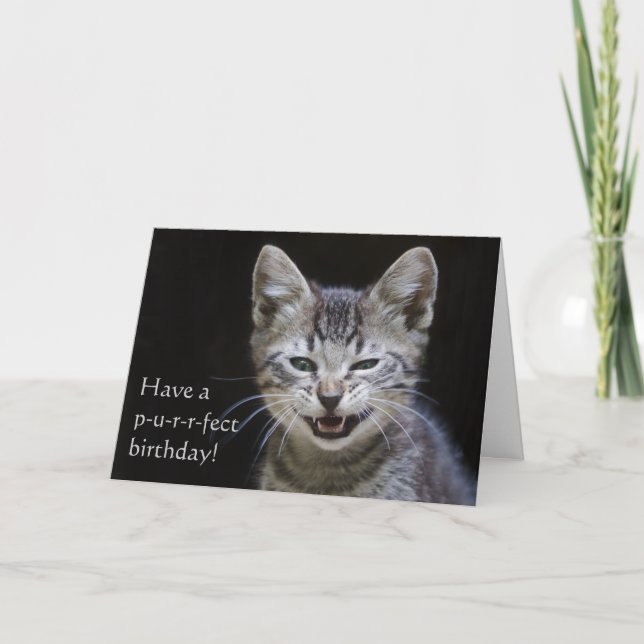 Tabby Kitten Happy Birthday Card (Front)