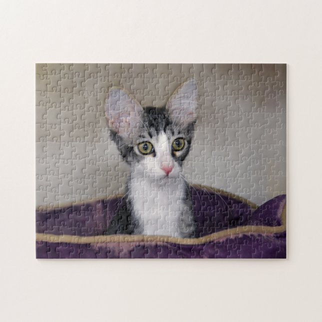 Tabby Kitten in a Purple Bed Jigsaw Puzzle (Horizontal)
