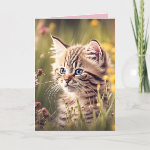 Tabby Kitten In Wildflowers Card