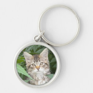 Tabby Kitten Key Ring