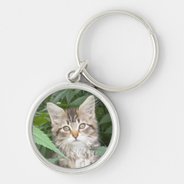 Tabby Kitten Key Ring (Front)