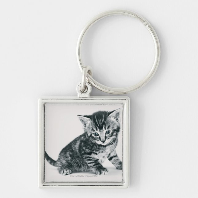 Tabby Kitten Key Ring (Front)