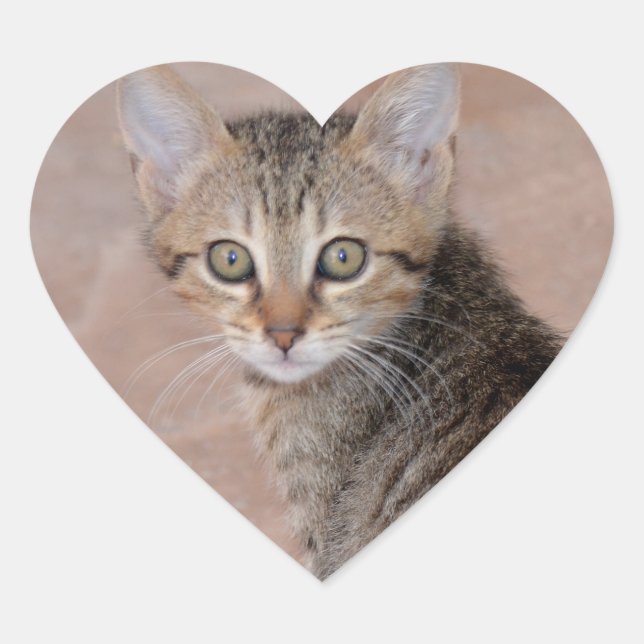 Tabby Kitten Love Heart Stickers (Front)