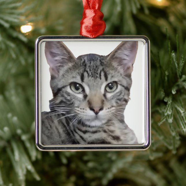 Tabby Kitten Metal Ornament (Tree)