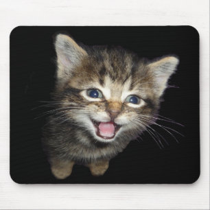 Tabby Kitten Mouse Pad