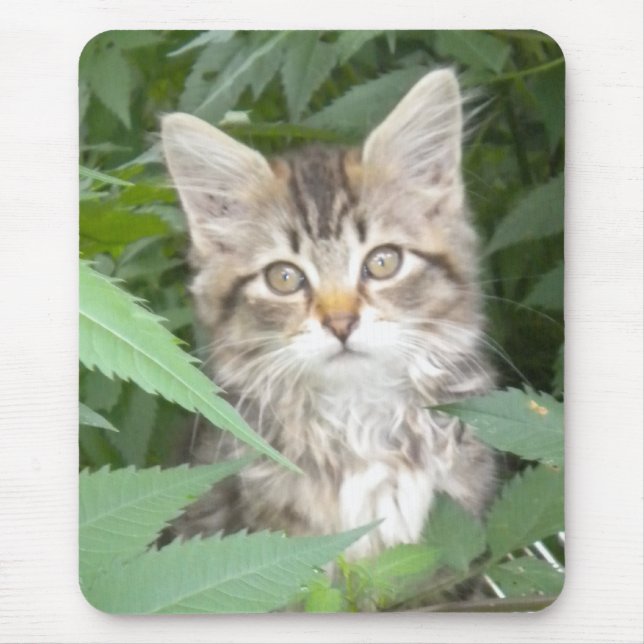 Tabby Kitten Mouse Pad (Front)