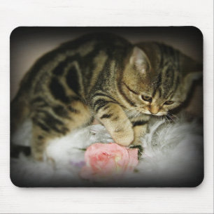 Tabby kitten mousepad