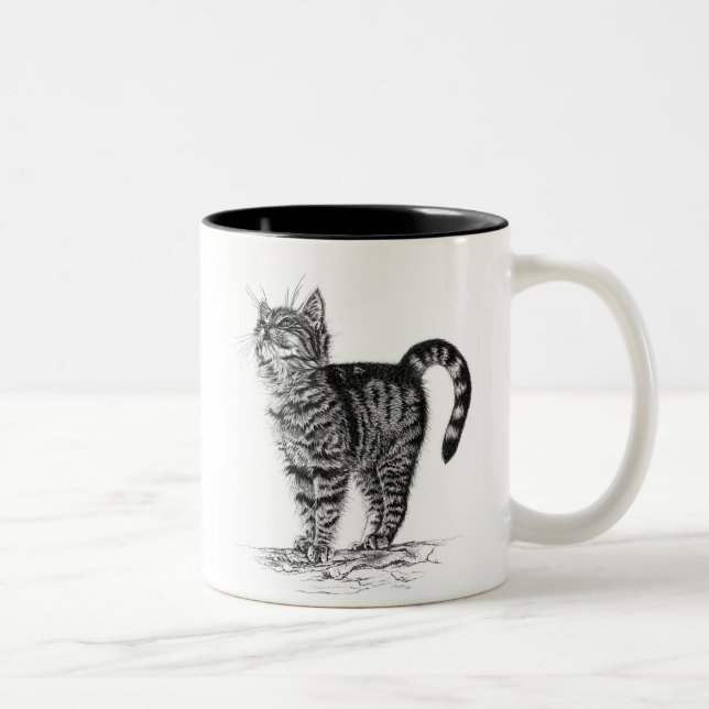 Tabby Kitten mug (Right)