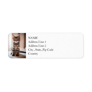 Tabby Kitten on the Table Return Address Label