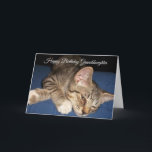 Tabby Kitten Personalised Granddaughter Birthday Card<br><div class="desc">Greeting card kitten granddaughter birthday card. Customise this granddaughter birthday card with any text then have it printed and sent to you or instantly download it. Should you require any help with customising then contact us through the message link on this page. Tabby cat personalised granddaughter birthday card that you...</div>
