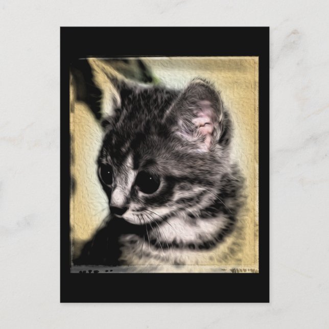 Tabby Kitten Postcard (Front)