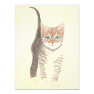 Tabby Kitten Poster