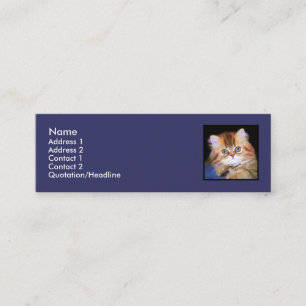 Tabby Kitten skinny business cards