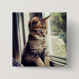 Tabby Kitten Watching 15 Cm Square Badge