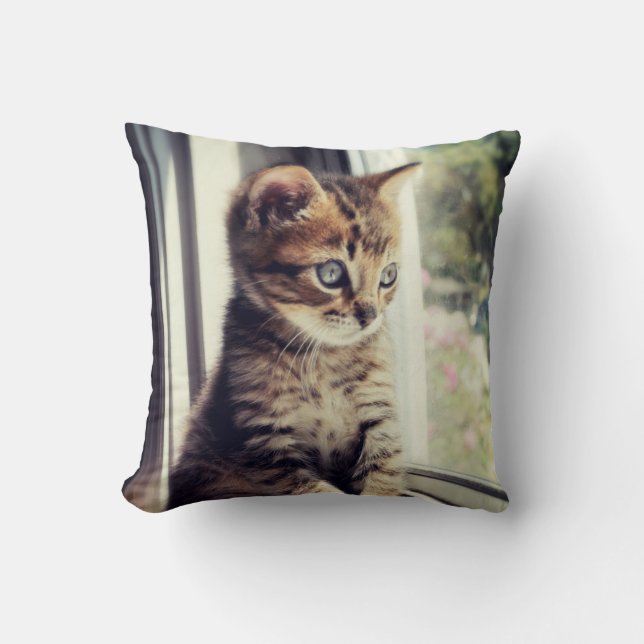 Tabby Kitten Watching Cushion (Front)