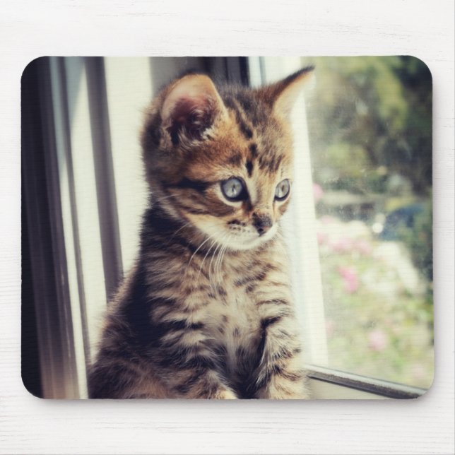 Tabby Kitten Watching Mouse Pad (Front)