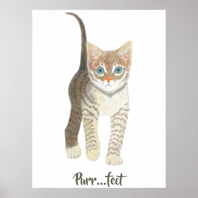 Tabby Kitten White Poster (Front)