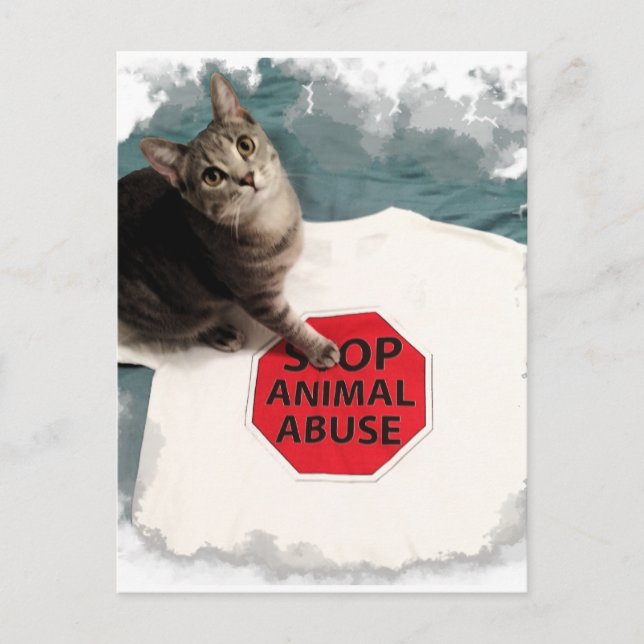Tabby kitten with a cause Stop Animal Abuse Postcard (Front)