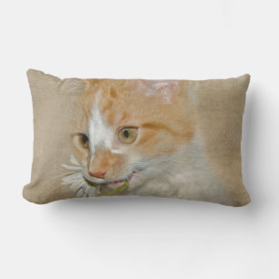 tabby kitten with daisy lumbar cushion
