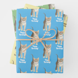 Tabby Kitten Wrapping Paper Sheets Personalise