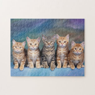 Tabby Kittens x Five Jigsaw Puzzle