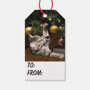 Tabby kitty cat Christmas Gift Tags
