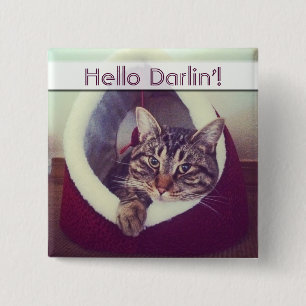 Tabby Kitty In Hut Close-Up Photograph 15 Cm Square Badge