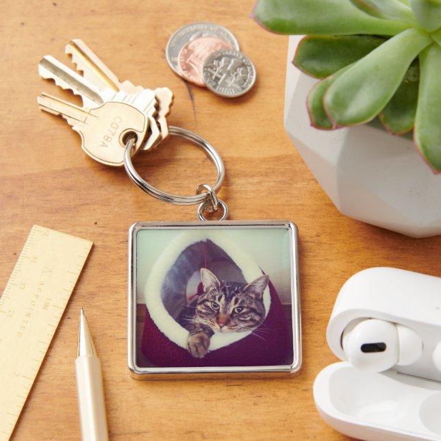 Tabby Kitty In Hut Close-Up Photograph Key Ring (Desk)
