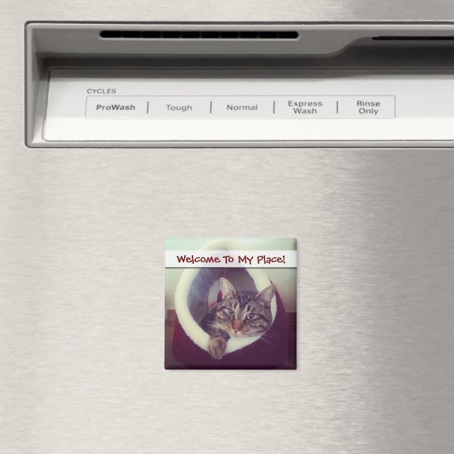 Tabby Kitty In Hut Close-Up Photograph Magnet (In Situ (Dishwasher))