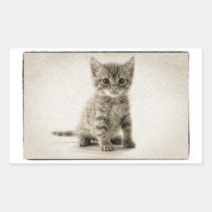 Tabby Kitty Rectangular Sticker