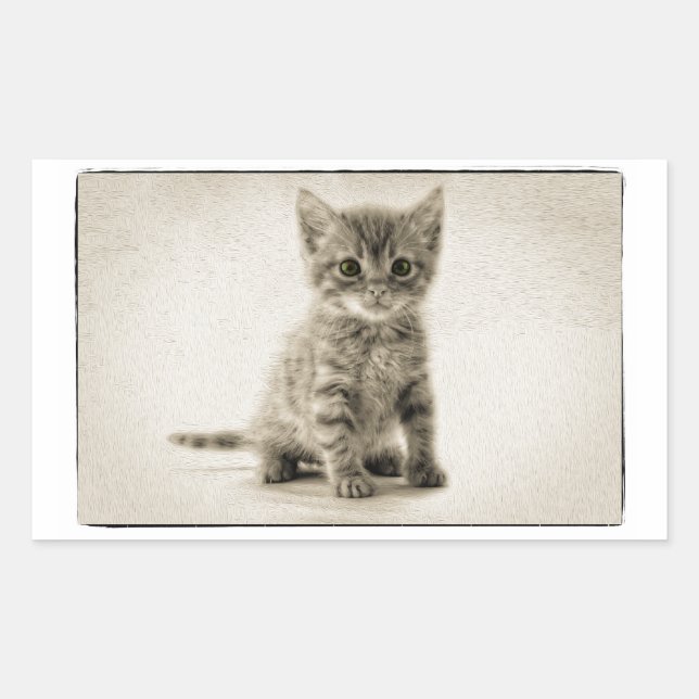 Tabby Kitty Rectangular Sticker (Front)