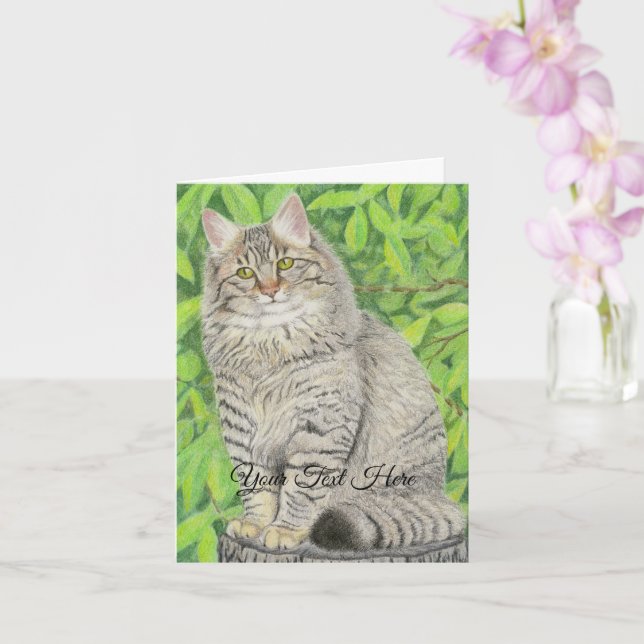 Tabby Longhair Card (Orchid)
