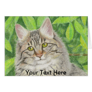 Tabby Longhair Note Cards