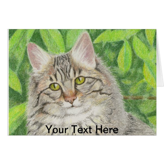 Tabby Longhair Note Cards (Front Horizontal)