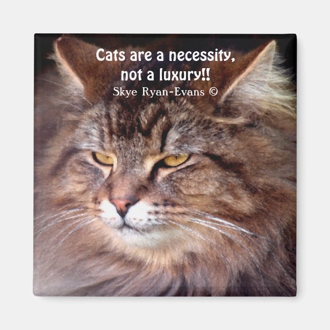 Tabby Maine Coon Cat Lover & Poem Magnet (Front)