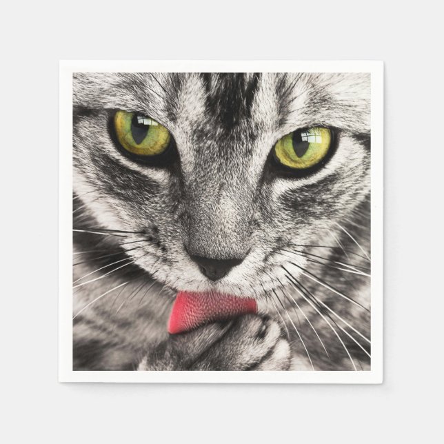 tabby napkin (Front)