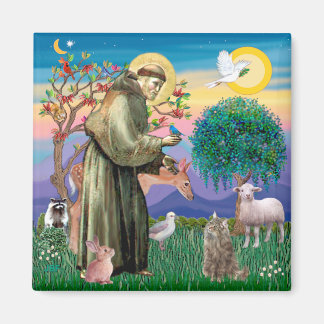 Tabby Norwegian Forest Cat - St Francis Magnet