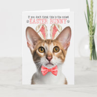Tabby Oriental Cat Cutest Easter Bunny Kitty Puns