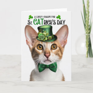 Tabby Oriental Shorthair Cat St CATrick's Day Holiday Card