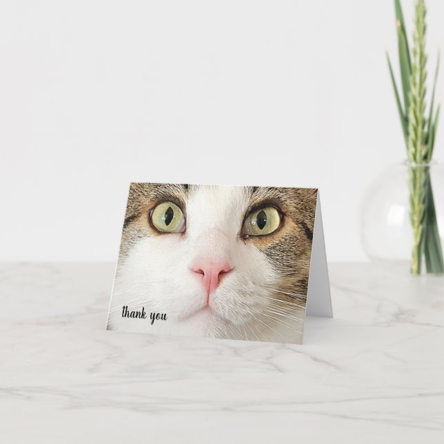 Tabby Pet Care Thank You  (Front)