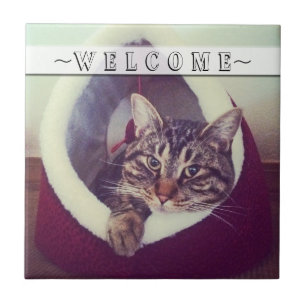 Tabby Relaxing In Hut Close-Up Photograph Tile