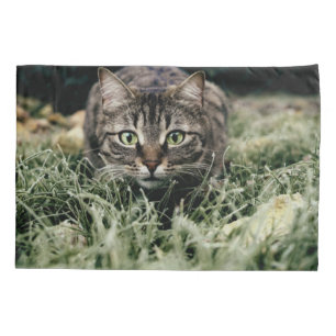 Tabby the Domestic Cat Pillowcase