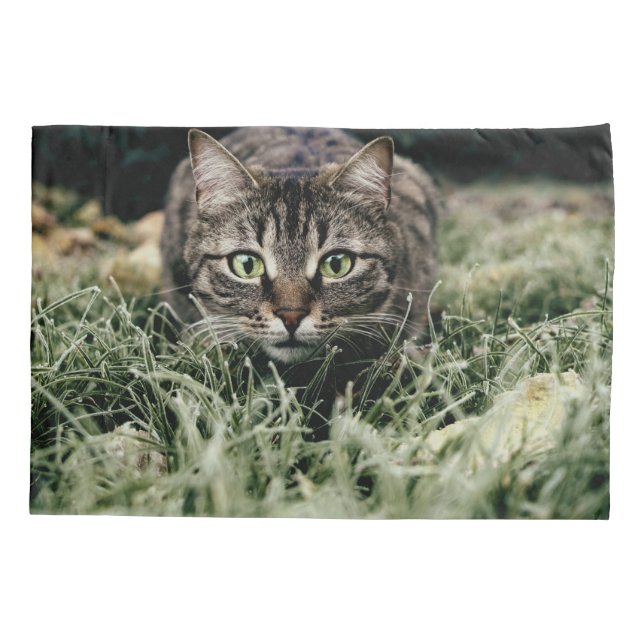 Tabby the Domestic Cat Pillowcase (Back)