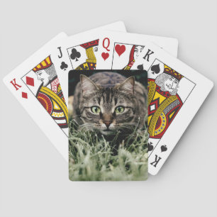 Tabby the Domestic Cat Playing Cards