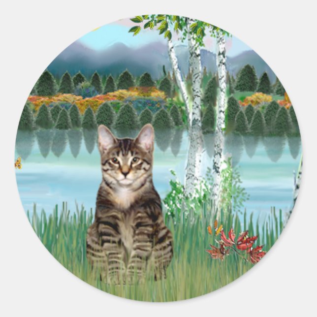 Tabby Tiger Cat  - Birches Classic Round Sticker (Front)
