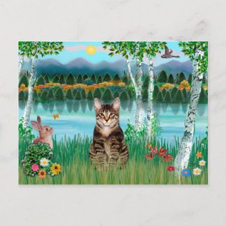 Tabby Tiger Cat  - Birches Postcard