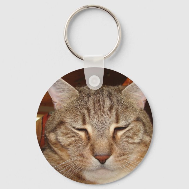 Tabby Tiger Cat Key Ring (Front)