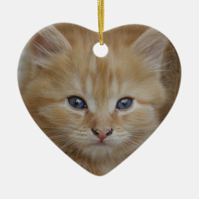 Tabby Tomcat Kitten Ceramic Ornament (Front)